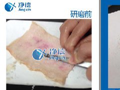 研磨猪皮提纯细胞采用浸入式液氮冷冻研磨仪处理效果